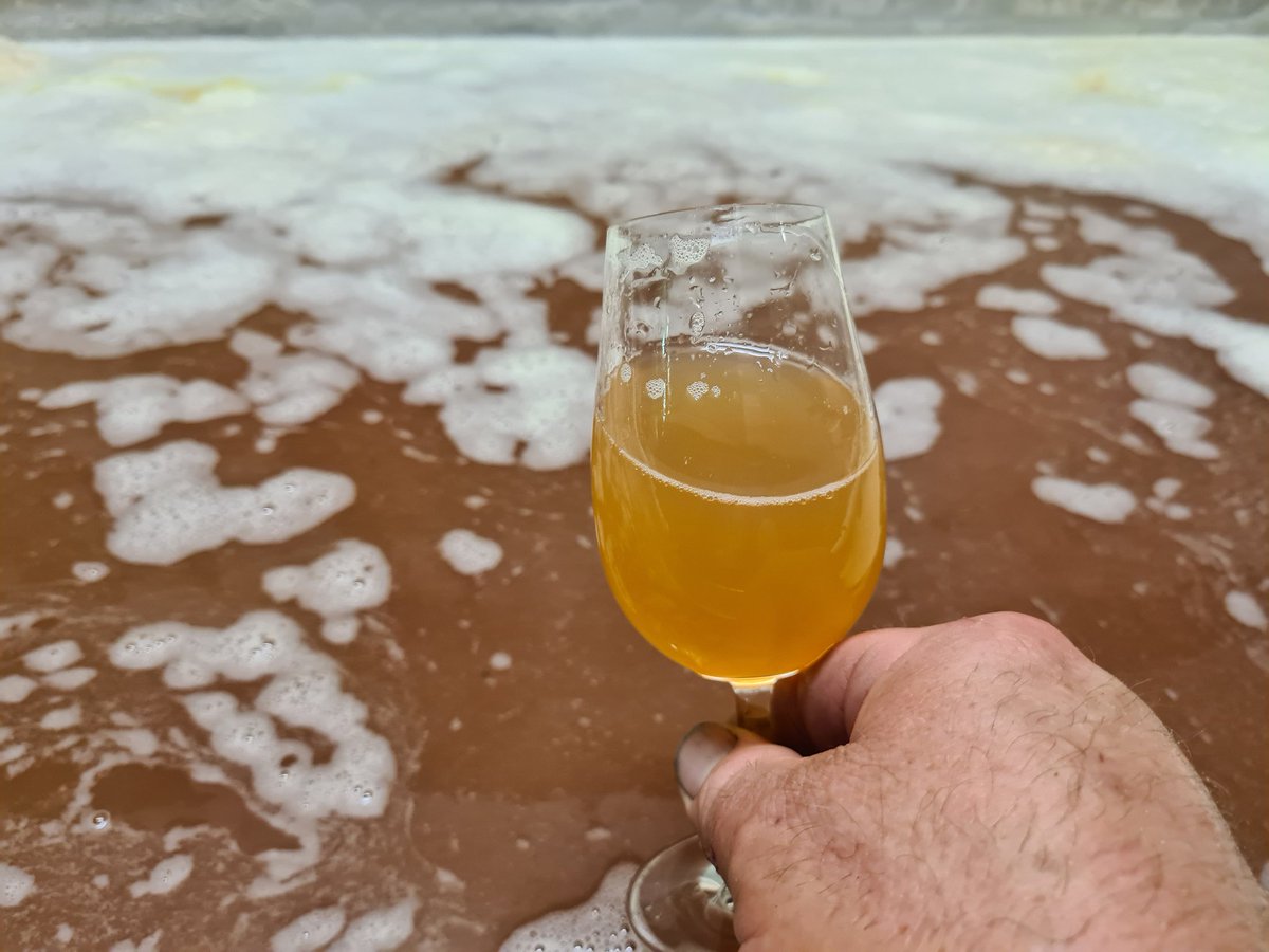 Premières palettes et premier marc .

Un marc en #Champagne est une unité de mesure correspondant à 4000kg de raisin.

Le sucre n'est pas la quête de cette année, mais plutôt les arômes et le goût ! 

(La couleur du jus est beaucoup plus jaune que marron, sulfitage)