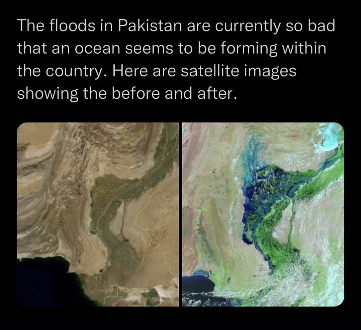 StanceGrounded tweet media