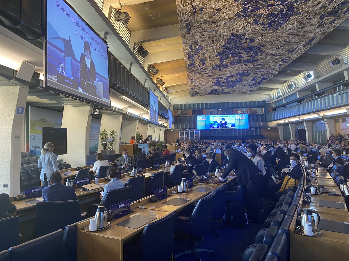 RumiR2012's tweet photo. #COFI35 opened today! Fours year have past since its last physical meeting and 2.5 year post pandemic, we are back in hybrid manner. It is wonderful to see so many Ministers, Delegates, Observers, partners and colleagues together again. The Fisheries world unites us all 🐟🐠🐟! https://t.co/Eiff5gUU7J