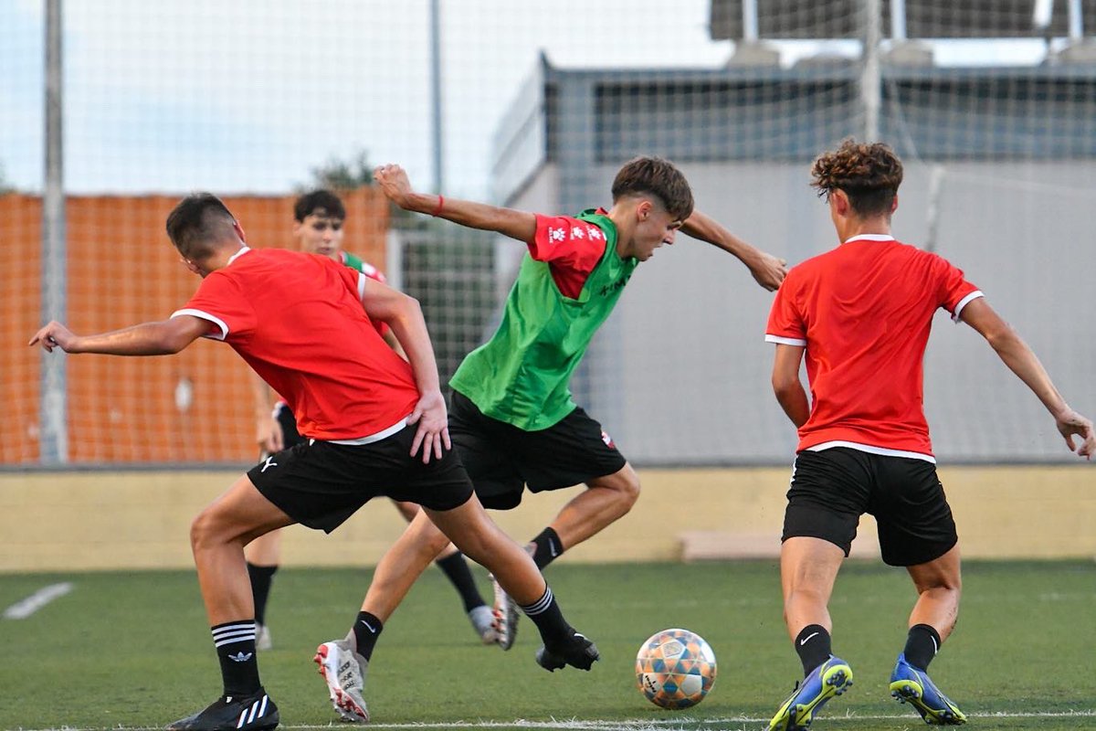 ffutbolbasereus's tweet photo. Imatges de la sessió del Cadet A. #guerradebolas
#ffutbolbasereus https://t.co/G8EfKk8J6y