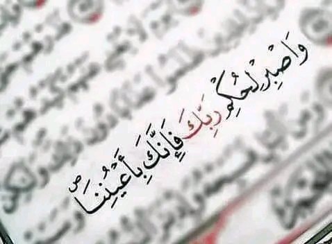 يا رب شعور هذه الآية