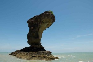 Geography_educ's tweet photo. #مصطلحات_جغرافية
#المسلّات_البحرية(Sea Stacks)
تتكوّن المسلّات البحرية بعد تكون الأقواس البحريةو مع استمرار فعل الأمواج البحرية ترق أسقف الأقواس وتتسع الأقواس من تحتها،فلا تلبث أن تنهار الأسقف،مخلّفة تجاه البحر عمودا من الصخر يبدو كمسلّة قاعدتها عريضة متآكلة، ورأسها مدبّب مسنّن https://t.co/0dxwhIrYuU