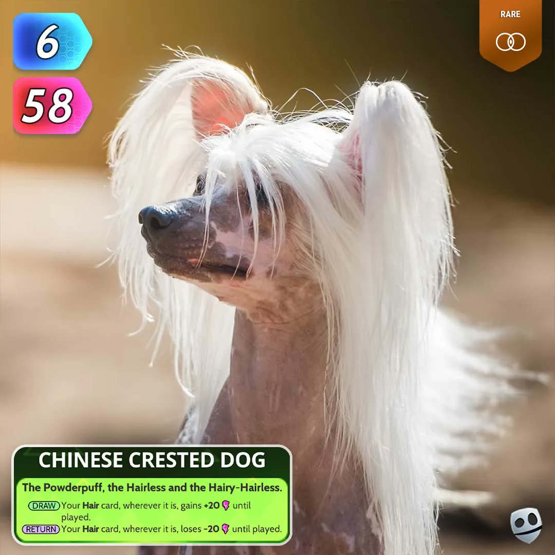 CUE_Cards's tweet photo. Beauty or Beast?
For what it's worth, I think beauty. This week in CUE it's Beauties and Beasts week! So make sure you stay tuned...
#fuggly #dog #cute #tcg #cards https://t.co/5NEL4xegL2