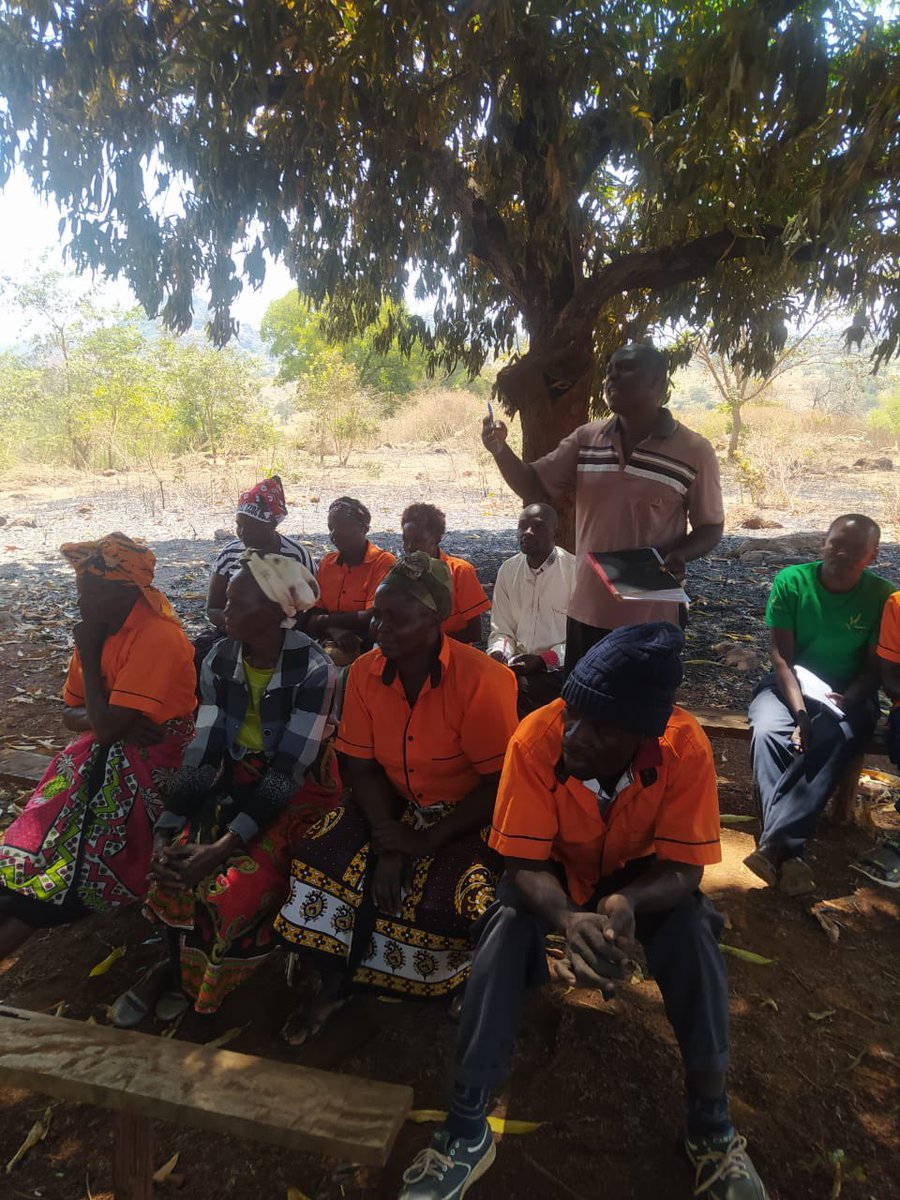 lue_lal's tweet image. Validation and Promotion of Integrated Climate-Smart Green Gram Technologies for Improved Livelihoods in Kenya. Training on green gram value addition for farmers in Tharaka Nithi county. #ValueAddition #GreenGrams #KCSAP