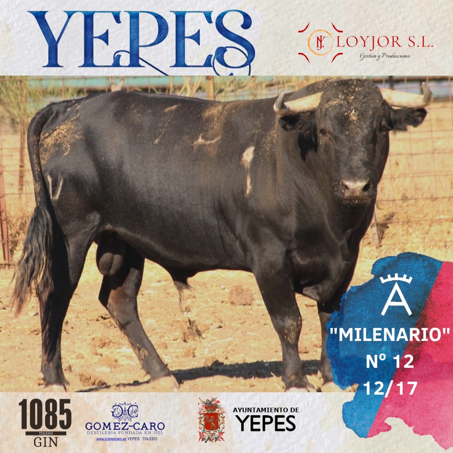 burladerotv's tweet photo. ACTUALIDAD.- Los toros de Victorino Martín para Yepes II @victorinotoros #Yepes @LoyjorSL @RRRafaelillo @RomanCollado @JavierCortesInf https://t.co/PQpapigX79 https://t.co/nzRFgG8PBW