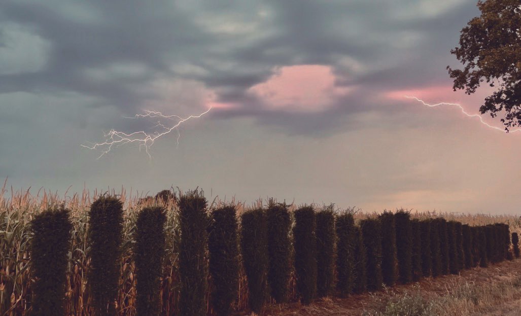 #onweer #Tilburg #buitengebied