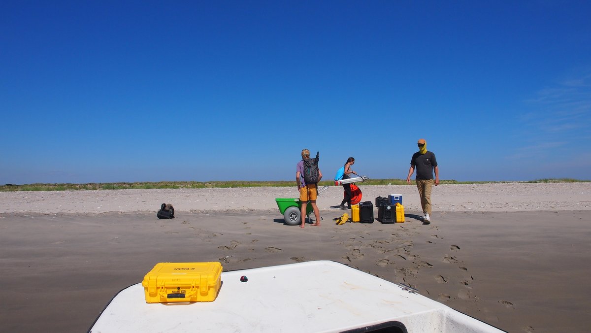 vcrlter's tweet photo. Fall classes started back up, but we're still out here collecting data! This past week grad students and staff were out surveying oyster reefs and barrier island vegetation. https://t.co/kNLQHMdj2n