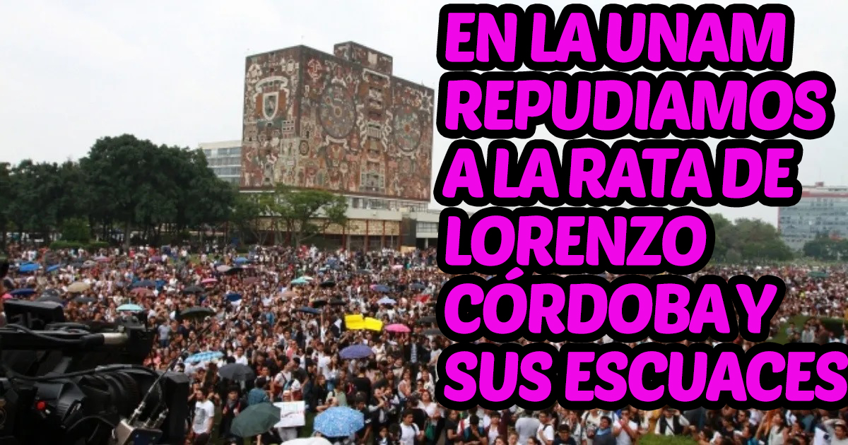 RaulDeLaRiva4's tweet photo. https://t.co/tI5GvAVsao