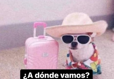 *Agarro las llaves*
Mi perro: