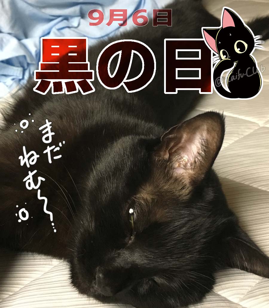 しいなみなみ 王子 邪魔っ 単行本2巻発売中 S Tweet おはようございます 黒の日 く 9 ろ 6 の 語呂合わせから 黒いものをprする日だそうです てなわけで 我が家のプリティblackプリンセス ただいま寝起きの 百花 モモハナ ちゃんです 福ねこと