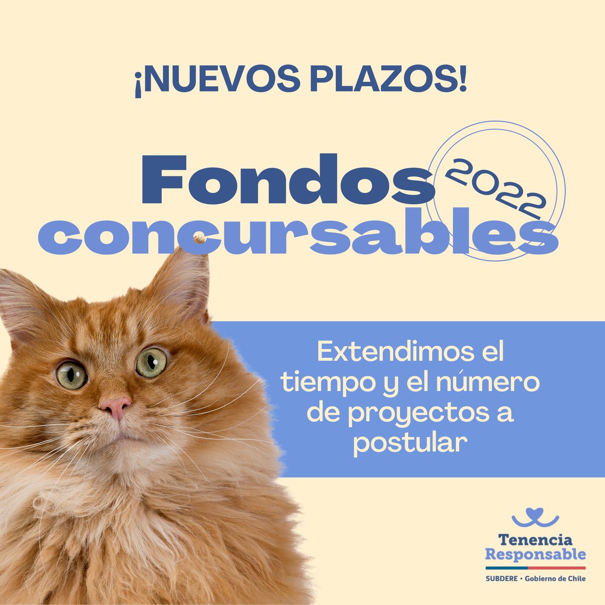 MascotaGob's tweet photo. 📢Atención ONG's de bienestar animal🐾
Reforzamos nuestro compromiso por apoyar su labor🤝
✅Extendimos las postulaciones hasta el lunes 12 de septiembre.
✅Aumentamos el número de proyectos a postular.

Revisa los nuevos términos de postulación🔗https://t.co/Hpqf8dLcNp https://t.co/Yw7ZP81frX