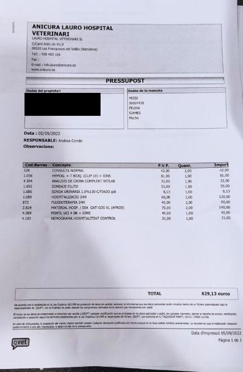 Reiragurumi's tweet photo. Hace unas semanas que mi madre murió y su gato lo está pasando muy mal. Del estrés tiene infección de orina y nos piden 629€ para el tratamiento... Mi pareja y yo estamos de baja por depresión y no podemos asumirlo todo. Yo hago amigurumis y manualidades. https://t.co/iCCbeoPLSu