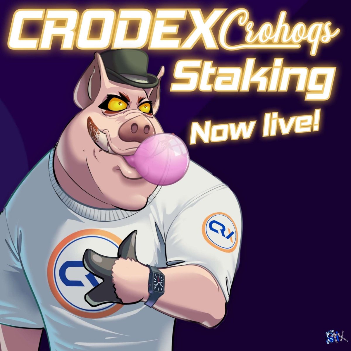 CroHogs / HunterZ tweet media