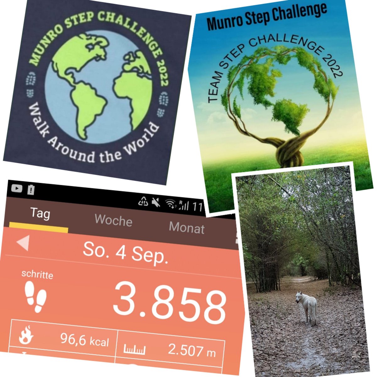 Ivanya76737556's tweet photo. Day 4🚶‍♀️✅🌏🌎🌍
#MunroStepChallenge2022
@MyPeakChallenge
@SamHeughan @bloodcancer_uk @GermanPeaker @onetreeplanted https://t.co/fJ9kxidJgs