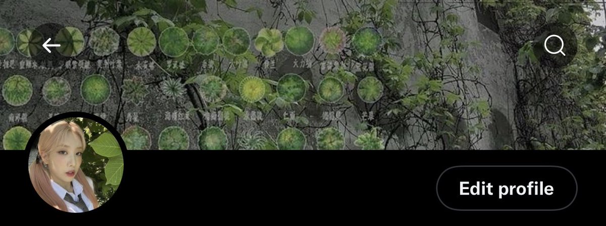 orbitsgloss's tweet image. new layout