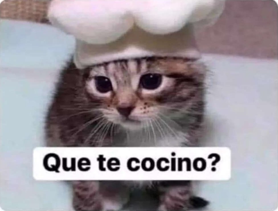 Guarromantico_'s tweet photo. Yo después de aprender a hervir el agua para el café. https://t.co/QYuobgqOjN