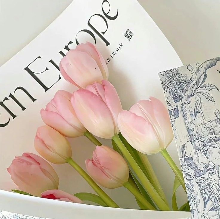 ७🪷𖥻1K de florecillas 𓄹ਏਓ tweet media