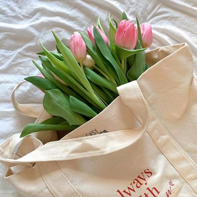 ७🪷𖥻1K de florecillas 𓄹ਏਓ tweet media