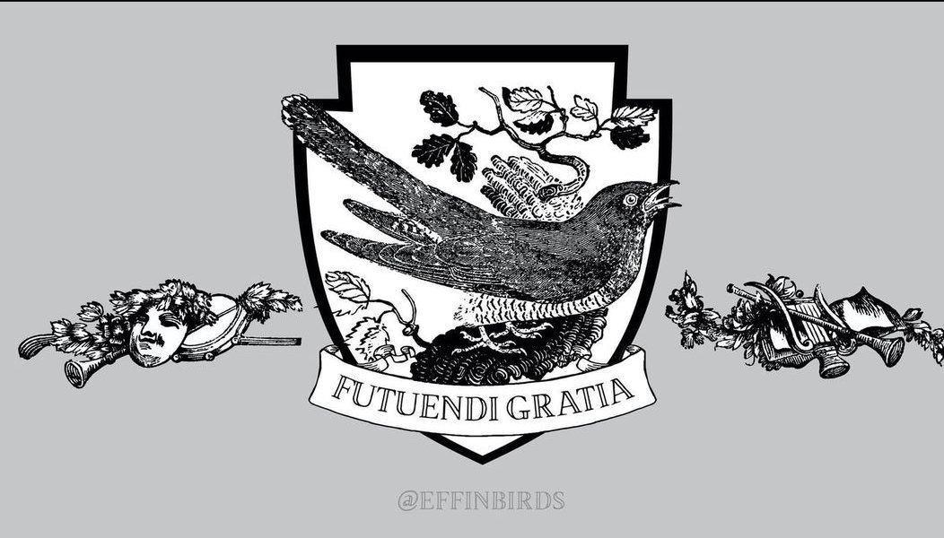 Ik hou van <a href="/EffinBirds/">Effin' Birds</a>