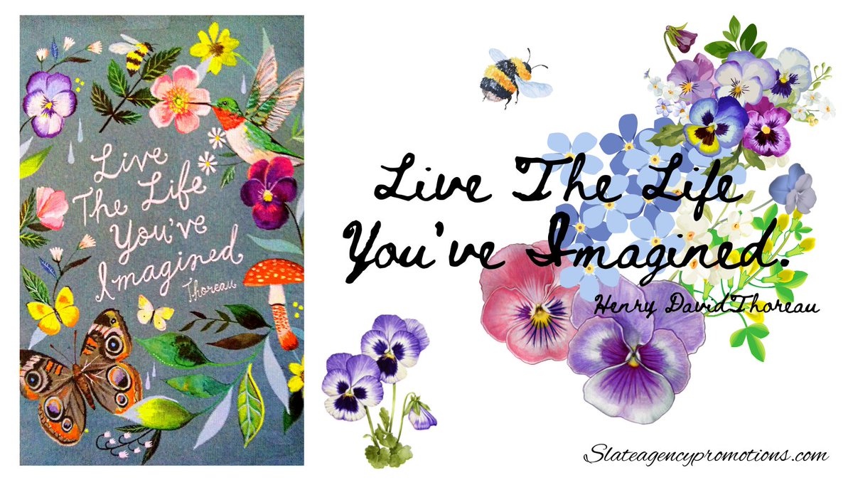 Toni Slate tweet media