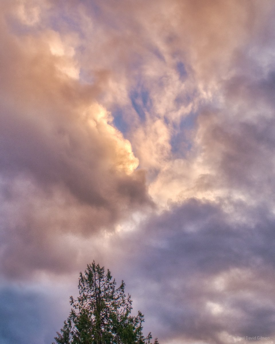 pdgibson's tweet photo. Lit Sky
Seattle, WA
November 2020
#clouds #seattle #westseattle #seattlephotographers #fujifilmx_seattle #pacificnorthwest #pnw #pnwlife #FujiX100T #fujifilm #fujifilmseattle @FujifilmX_US https://t.co/XenKSLK4zf