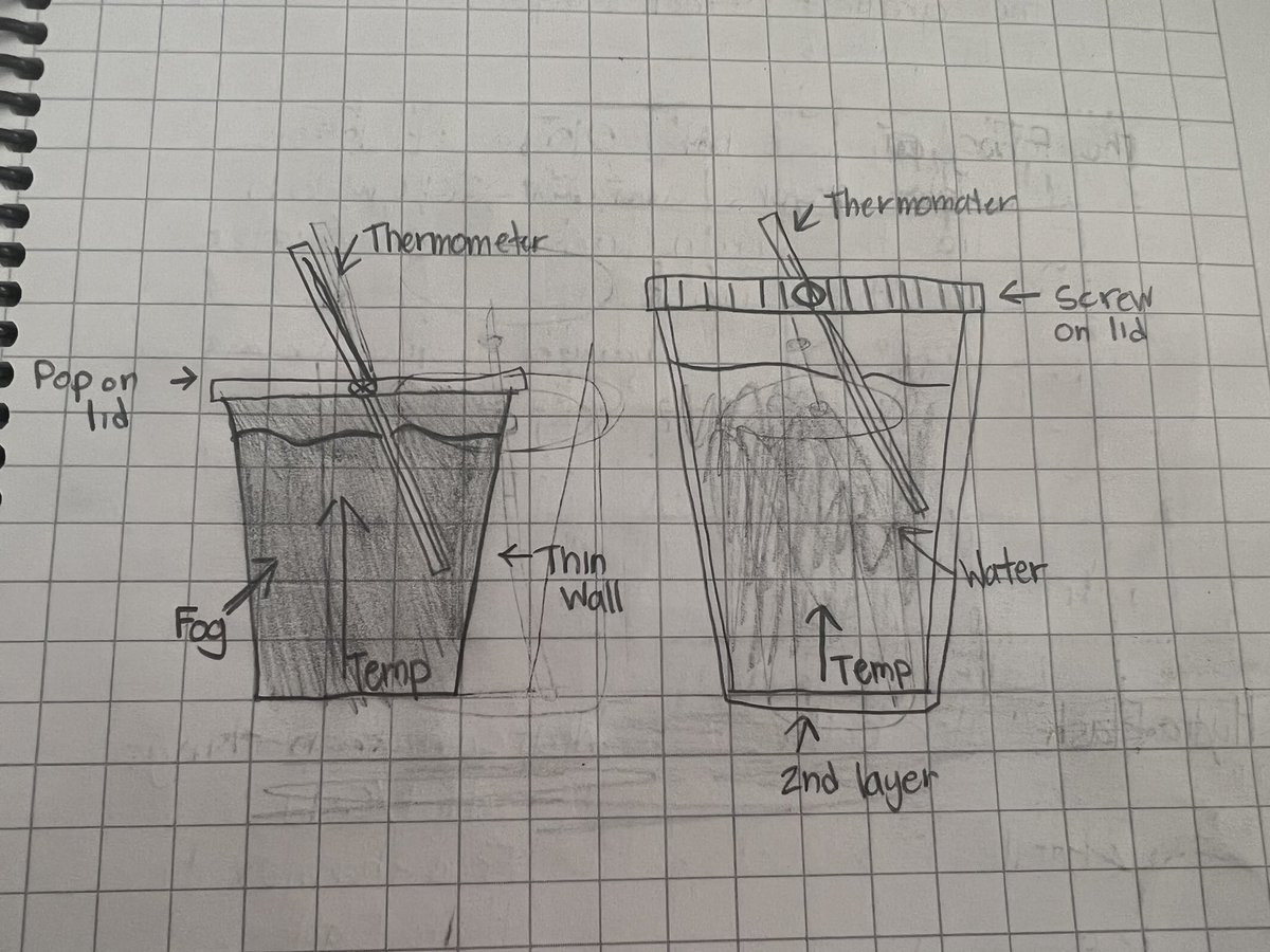 Lacey Eckels tweet media