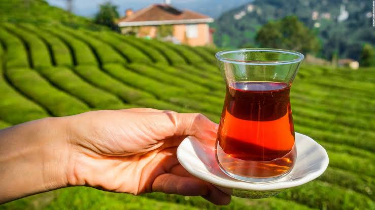 Raghav8171's tweet photo. Turkish tea is a type of black tea that is popular in many parts of the world, particularly in the Middle East and Central Asia. It has been brewed for centuries and is consumed daily by millions of people.

#turkishtea #turkey #tea #consumed #turkeytourism #popular https://t.co/m50oFNw3LE