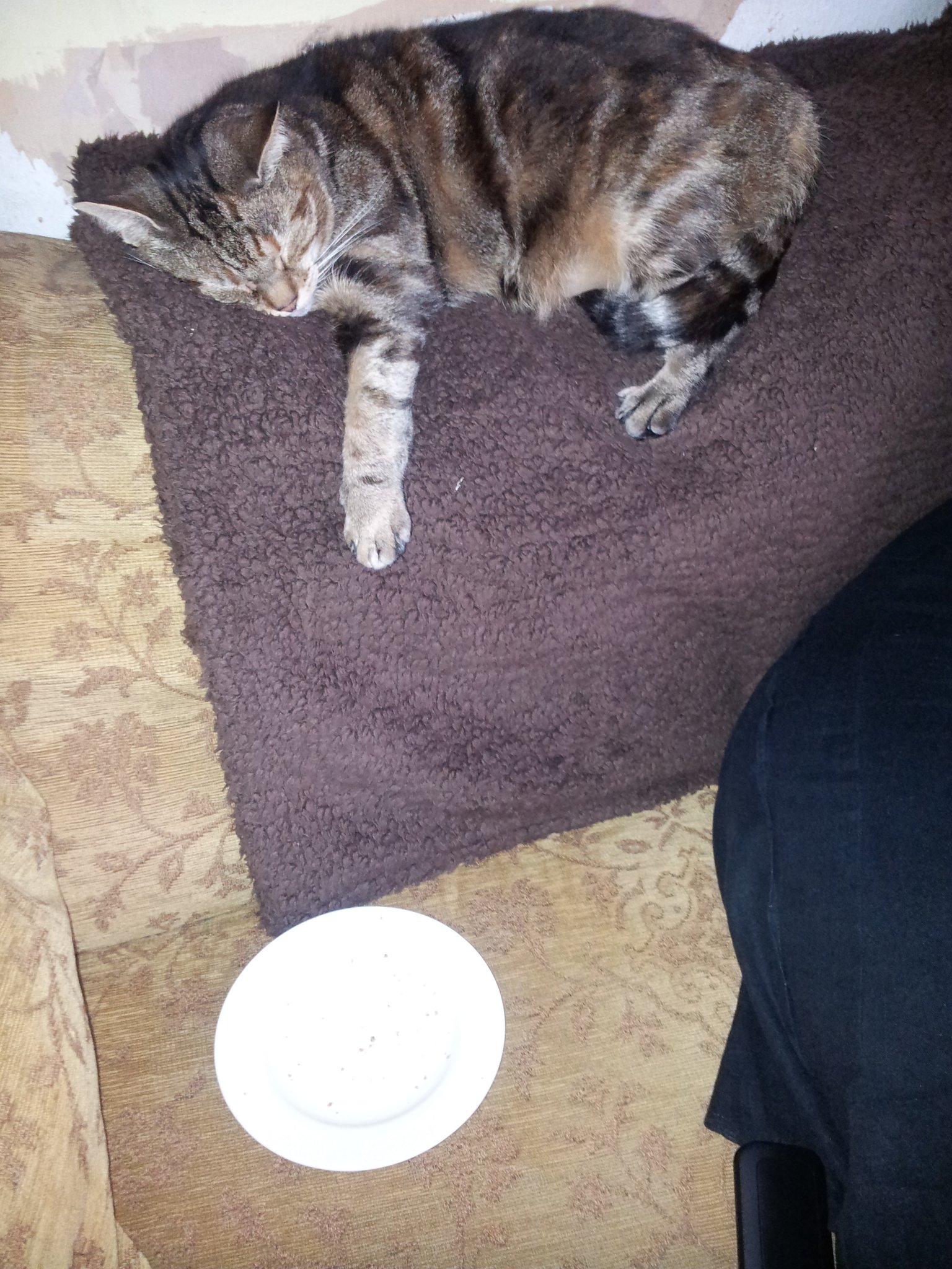 Daily Mavis on Twitter: 