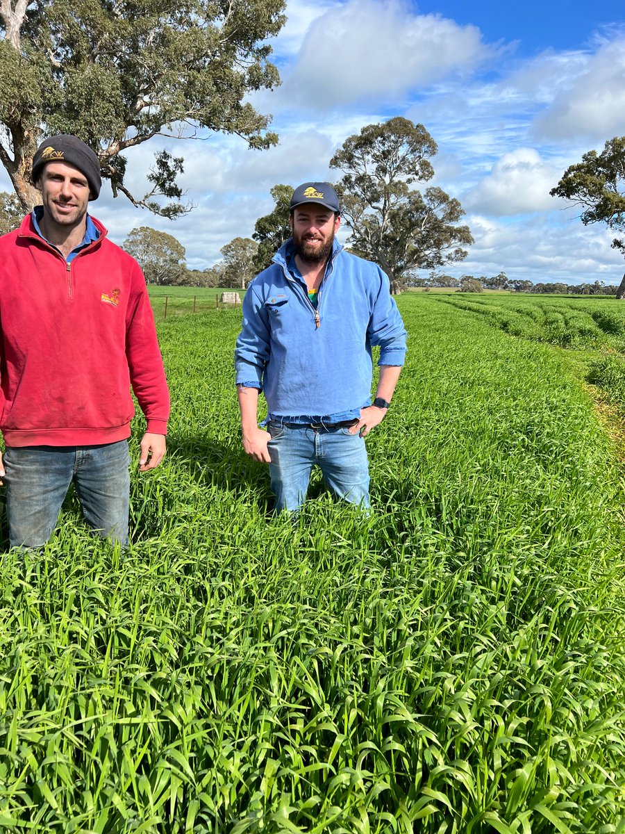 Matthew Sparke tweet media