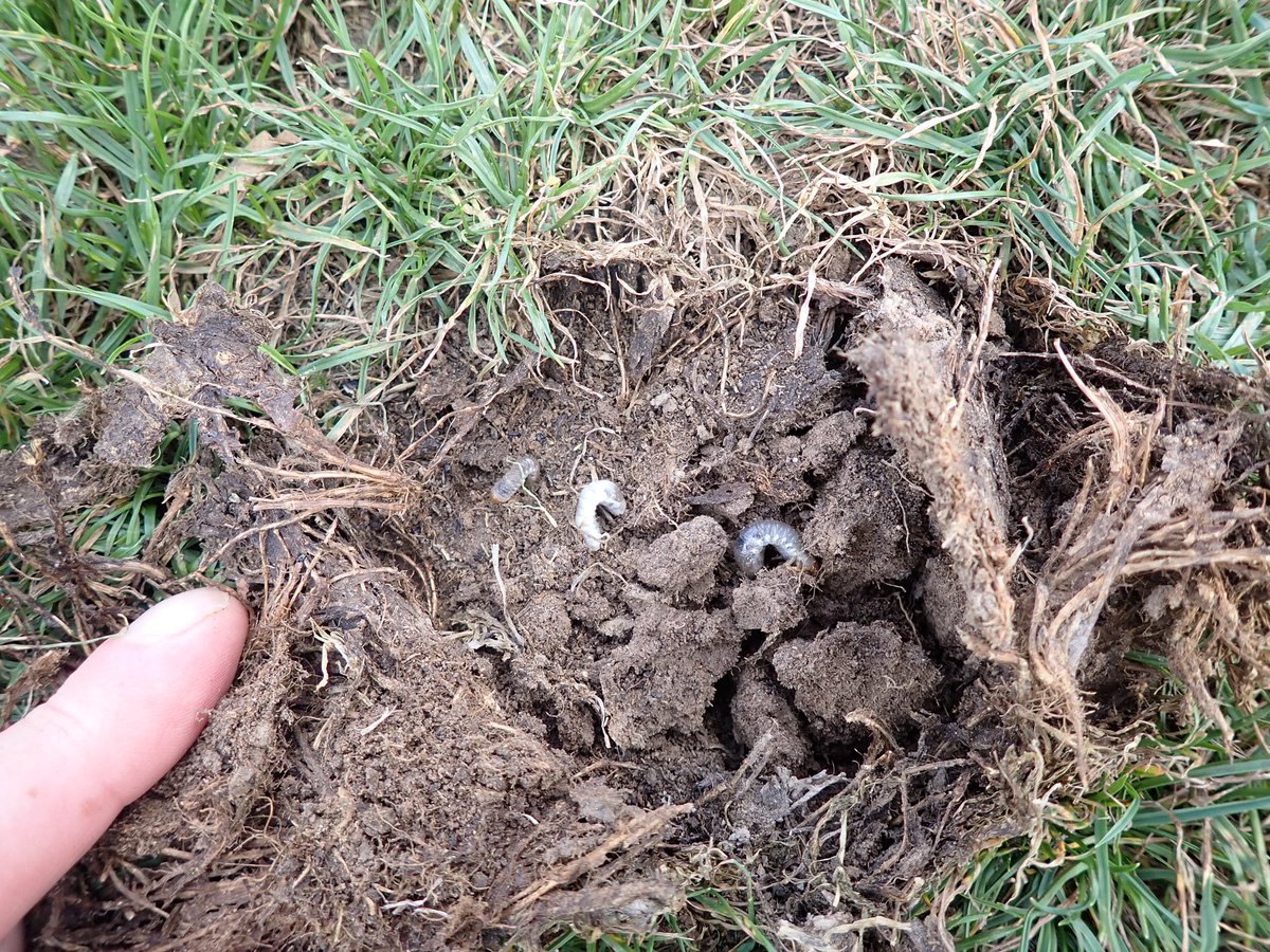 SMcDonald tweet media