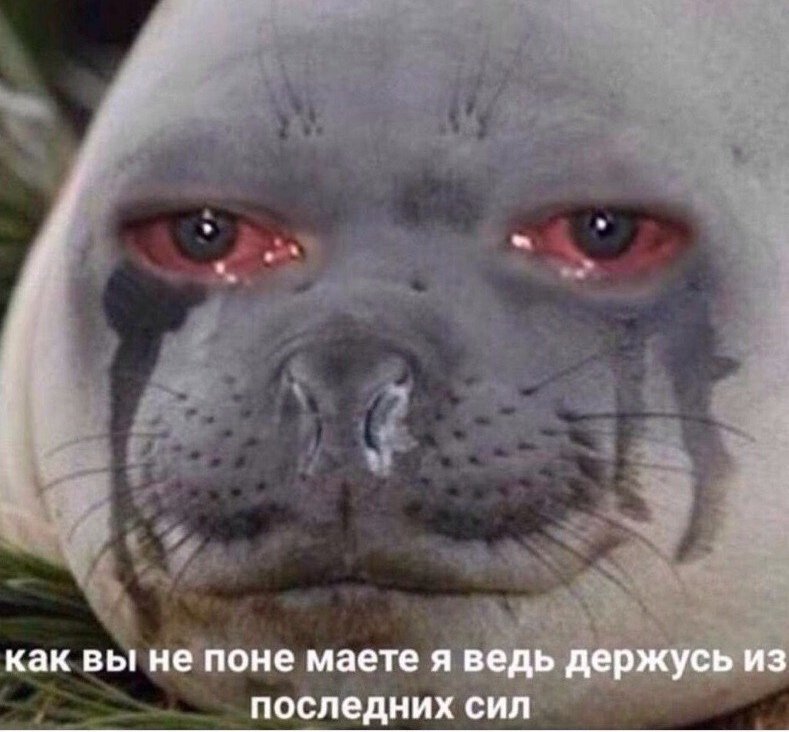 noarmill's tweet photo. Я просто не могу блять, уже до слез устал чувствовать эту ссаную боль, когда уже моя кожа перестанет слезать так, словно я разлагаюсь нахуй, девачки я плачу, а как жить, я могу только плакать и чувствовать боль. https://t.co/pNjreuBojs