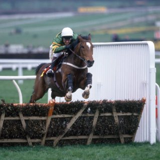 Joe Porter tweet media