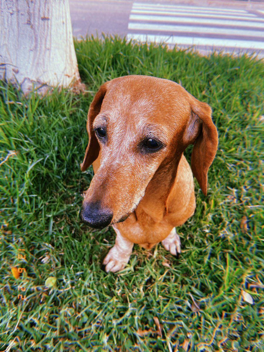 CandelaJarque99's tweet photo. Para siempre tuya y para siempre mía, nos volveremos a ver pequeña Luli 💖 https://t.co/wBDlm8Vhvg