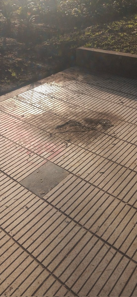 OtakuRevengeOk's tweet image. Me siento triste por qué ya no podré viajar miles de kilómetros a pintar la estatua del Gaturro XD ok no XD
#shitpost #argentinashitpost #argentinashitposting #gaturroshitposting