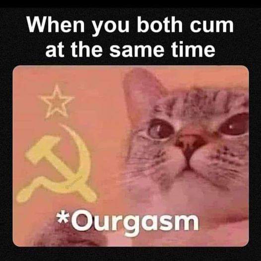 myunclesmemes's tweet photo. communist cat https://t.co/ePxTqH9n9g