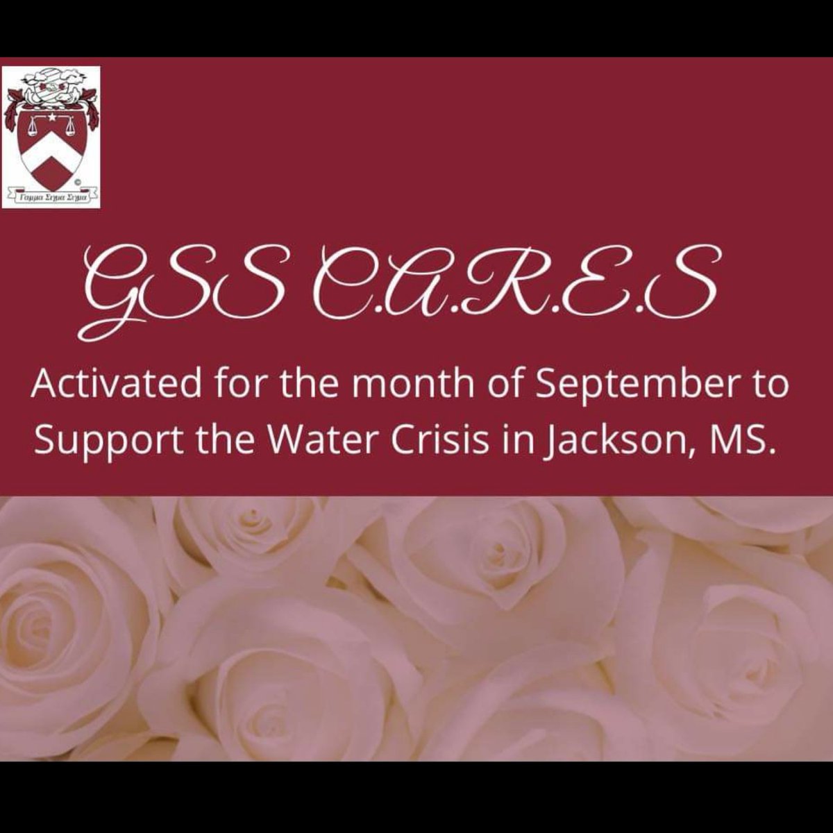 gammasigmasigma's tweet photo. GSS C.A.R.E.S. Activated!! We are collecting water bottle donations for Jackson, MS until the end of Sept. Details were recently emailed. Contact the Nat'l Service Dir. for add'l questions. #GSSCARES #gammasigmasigma https://t.co/i8CRPGb1oC