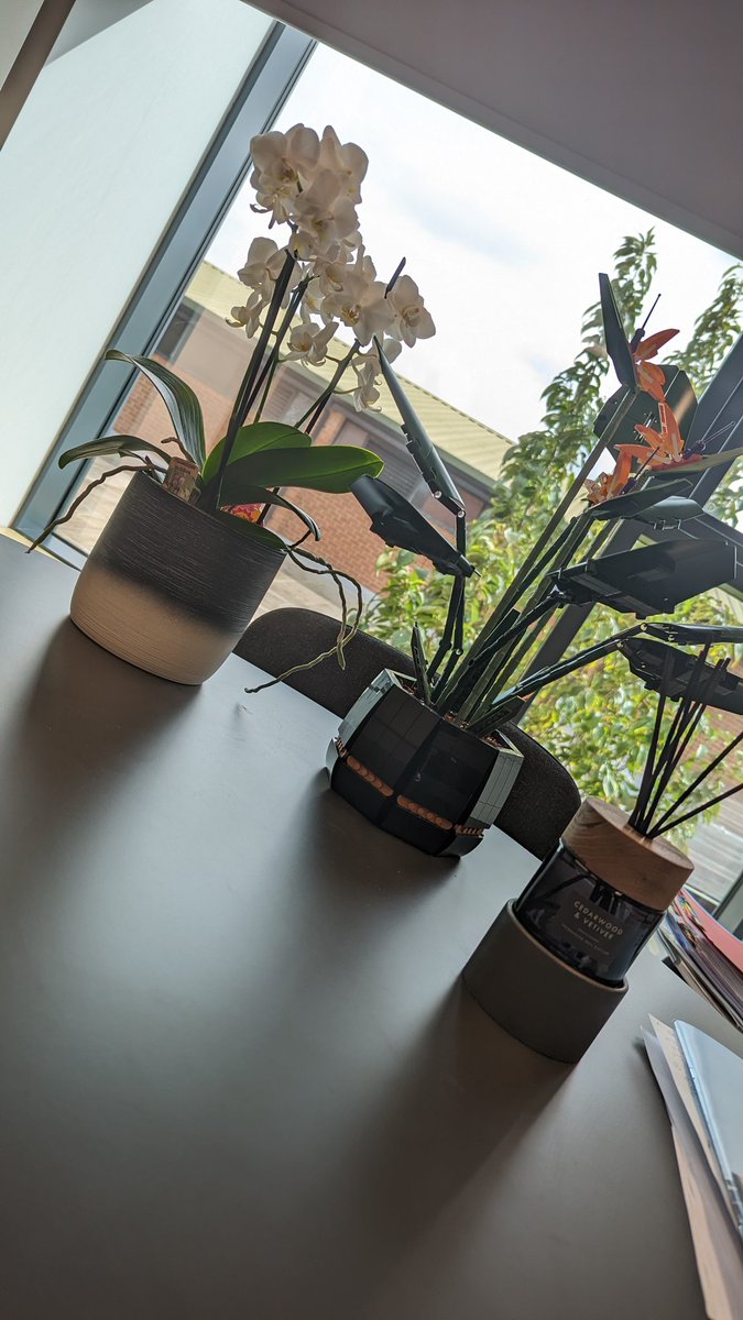 Mrs_Aylett's tweet photo. The plants are in place in my office. It's definitely got a little more life in the space now and has made it a much happier place to work #officeplants #workspace #littlethings https://t.co/IdcWatBDzs
