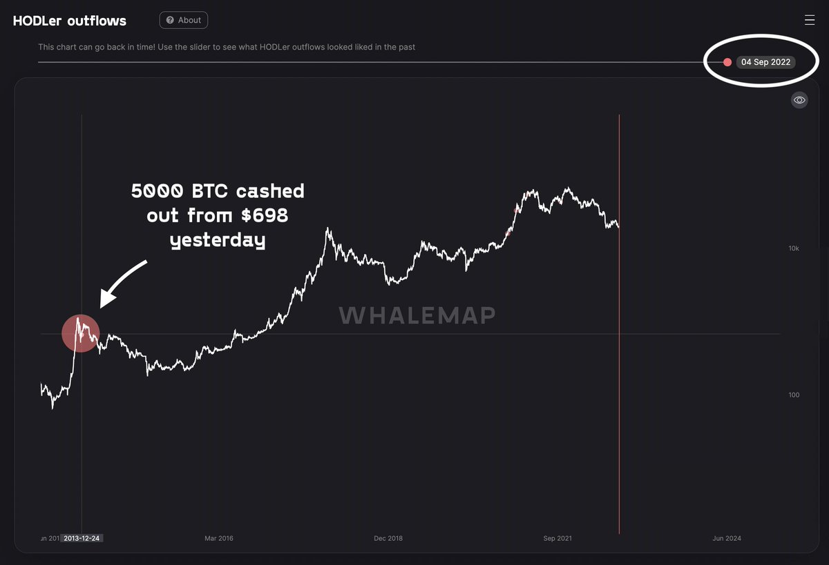 whalemap tweet media
