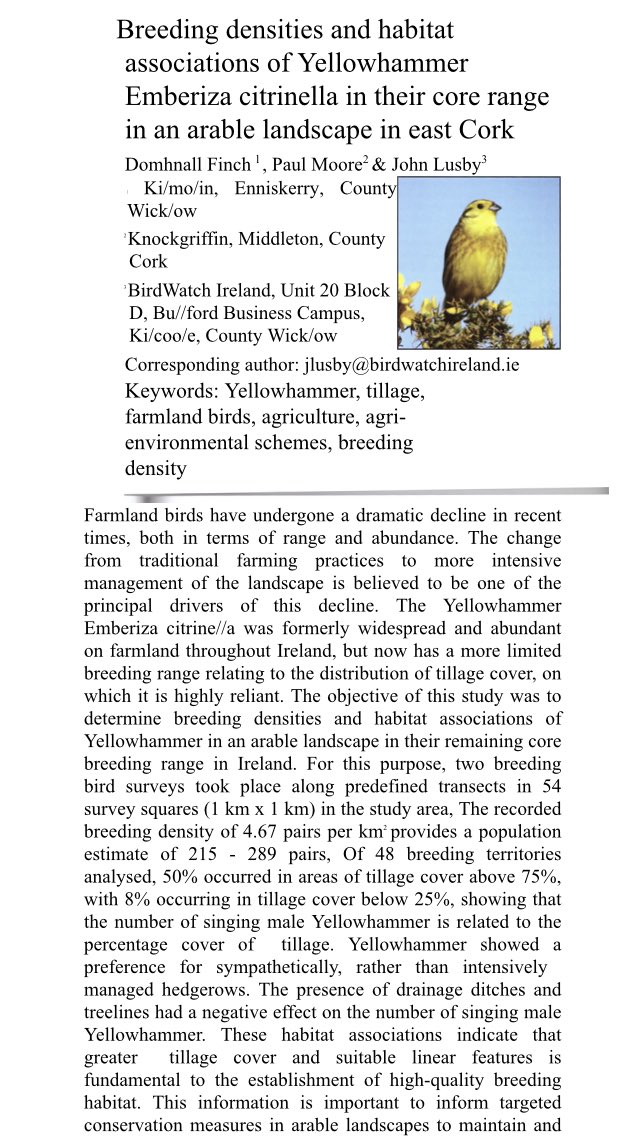 moorewp's tweet photo. @IrishDistillers to increase their grain intake from Irish farmers by up to 50% as part of a large expansion plan. As part of their sustainability program they are funding farmland bird research, the paper below was recently published in @BirdsMatter_ie Irish Birds journal. https://t.co/KkzVFfwM3i