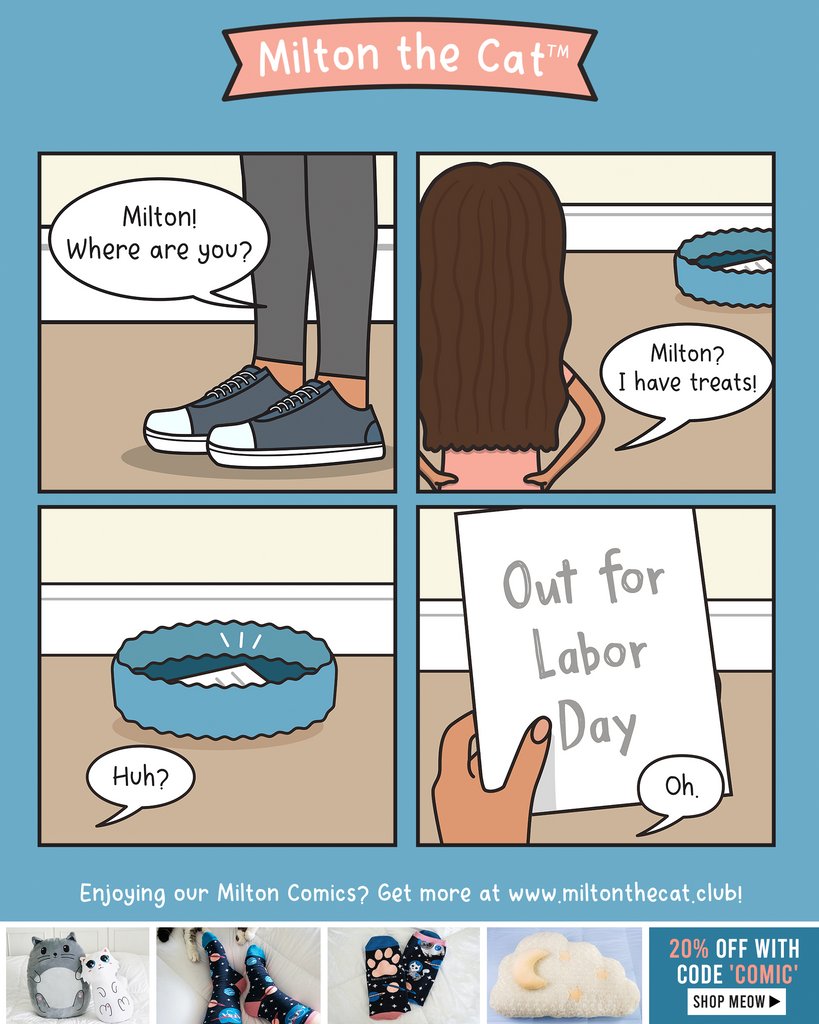 What do cats need a vacation from? 😒