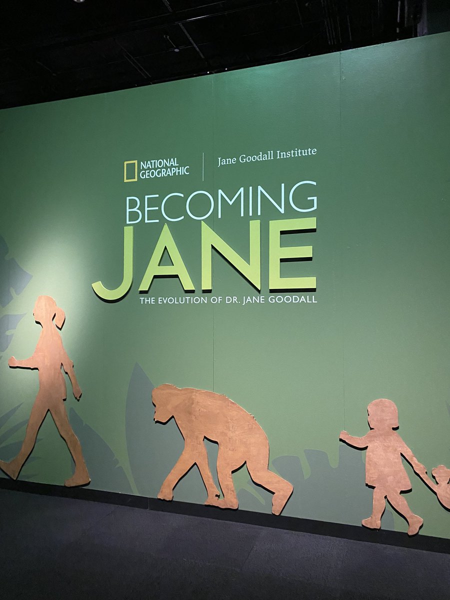 getsmartwithMrG's tweet photo. We’ve been talking in class about Jane Goodall and her inspiring story on following your dreams. I got a chance to visit the “Becoming Jane” at the Perot Museum of Nature and Science. Incredible experience! #BecauseOfJane @NatGeoMuseum @JaneGoodallInst @Ethridge_Bobcat @gisdnews https://t.co/iHHaCEugLc