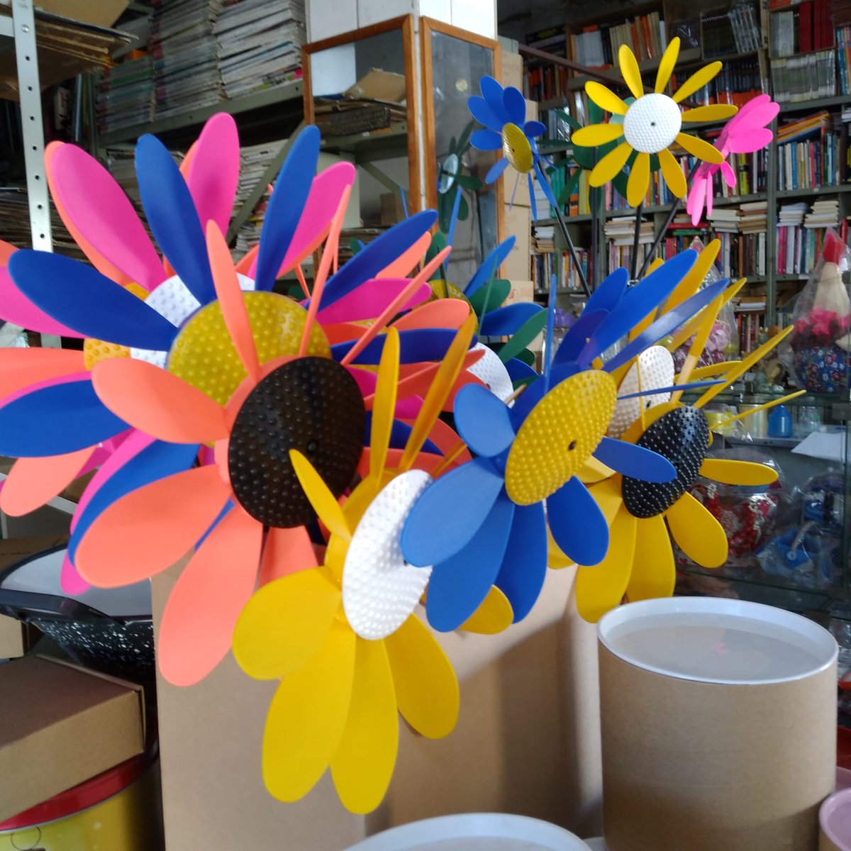salvarvores's tweet photo. orquídeas: Cata-ventos diversas cores 19 9 8407-3337 https://t.co/pczRr3EpHn 
 cata vento, cata-ventos, cata-ventos diversas cores, cores, diversas https://t.co/elLadukOJM
