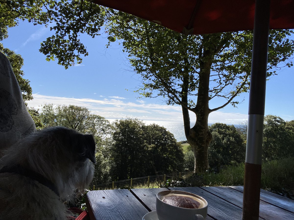 Fraggle_YT's tweet photo. @Rubyscout2 @lyndaward5 Aw I found your photo! Thanks for the heads up on #btposse ! Phoebe is having a lovely holiday still 😊 https://t.co/73CEpwCeIe