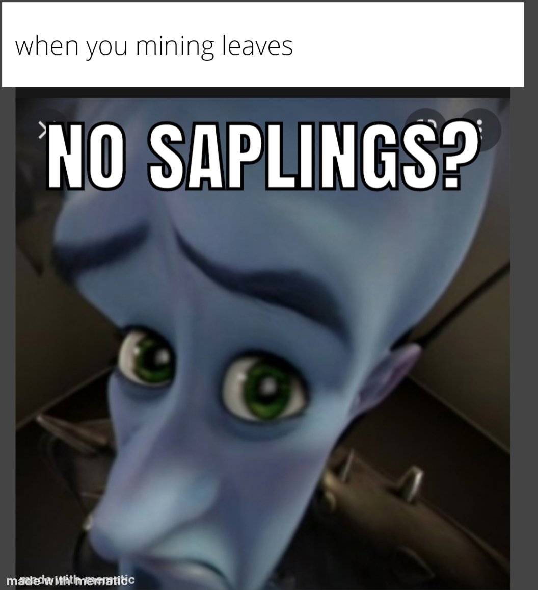 MinecraftMeme16's tweet photo. pain https://t.co/2ayeGyYGte