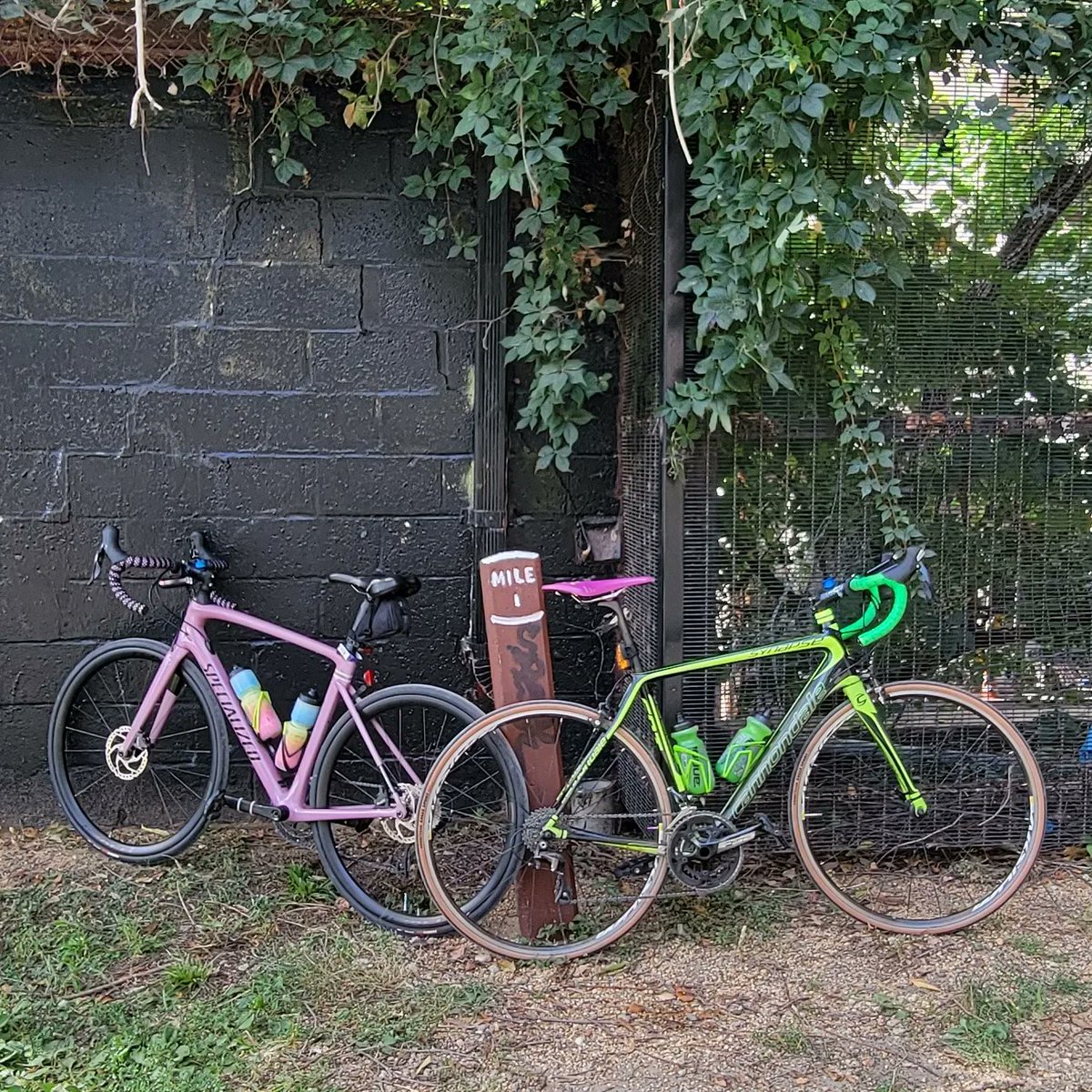 Chris_Roell's tweet photo. #bikedc #bikemd #bikeva #bikedmv #bikedmvloop #halfcentury https://t.co/dHbJbvrOMp
