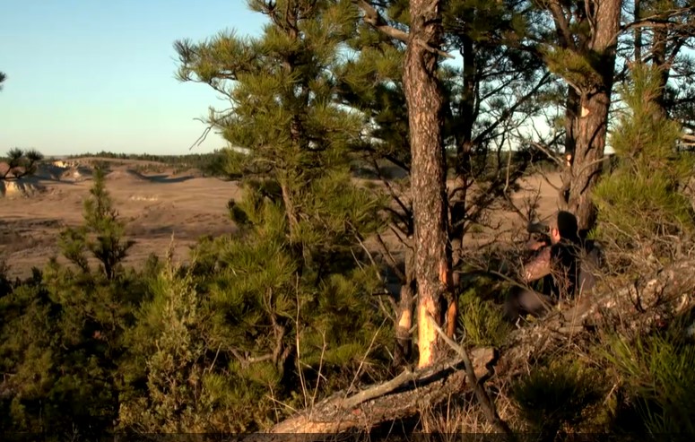 OUTDChannel's tweet photo. Do you consider a plan on how to approach your stand, blind or overall hunting location? Click https://t.co/zVhWsayBpH for tips. @THQNordic. Don't spook them before you see them!

#WayOfTheHunter #DeerSeason #DeerHunting #Hunting101 https://t.co/9QVTtrtaMQ
