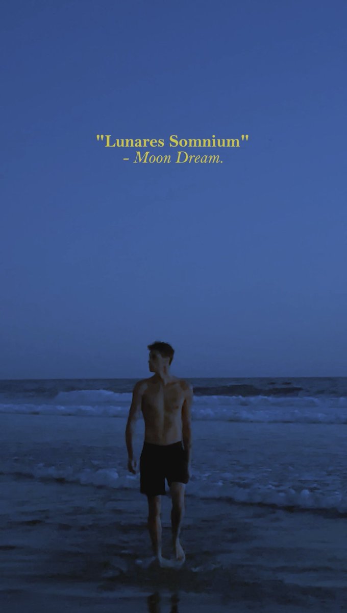 LUNARES SOMNIUM 🏄🏼‍♂️🌙. 
<a href="/KEISERCLARK/">KEISER CLARK</a> X <a href="/BitBoardNFT/">BitBoards</a> .
COMING SOON.
