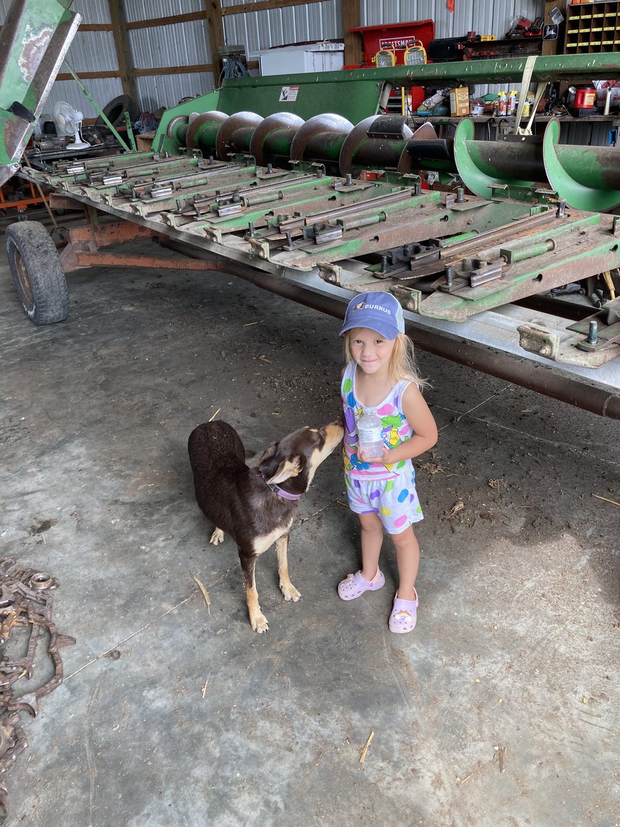 Consistency is what it takes to add up bushels. That’s what you get with Burrus 7k64. After scouting Kate said it was time to work on the cornhead. She even put on her favorite hat. <a href="/toddburrus2/">Todd Burrus</a> <a href="/Tim_BurrusSeed/">Tim Greene</a>