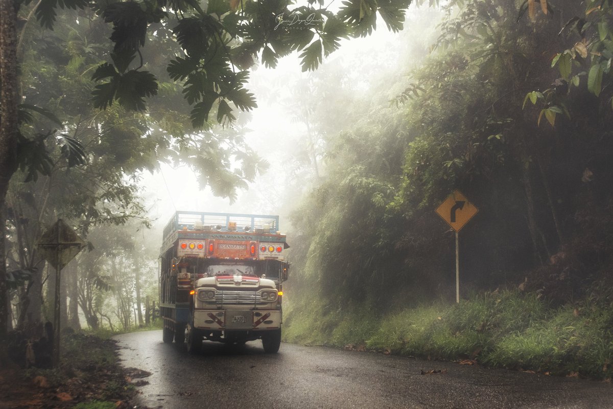 ParceroDlf | Photographer📸 tweet media