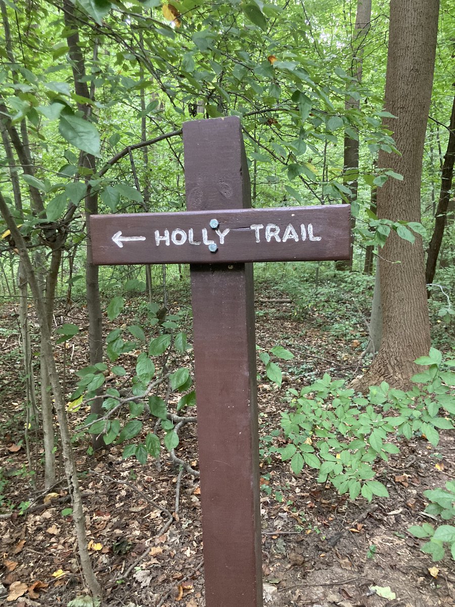 genevcoffey's tweet photo. Put the concrete aside for a trail run today in #RockCreekPark. Humidity and hills make for a nasty combo. #Running #DCRunning https://t.co/uQigmUh7YO